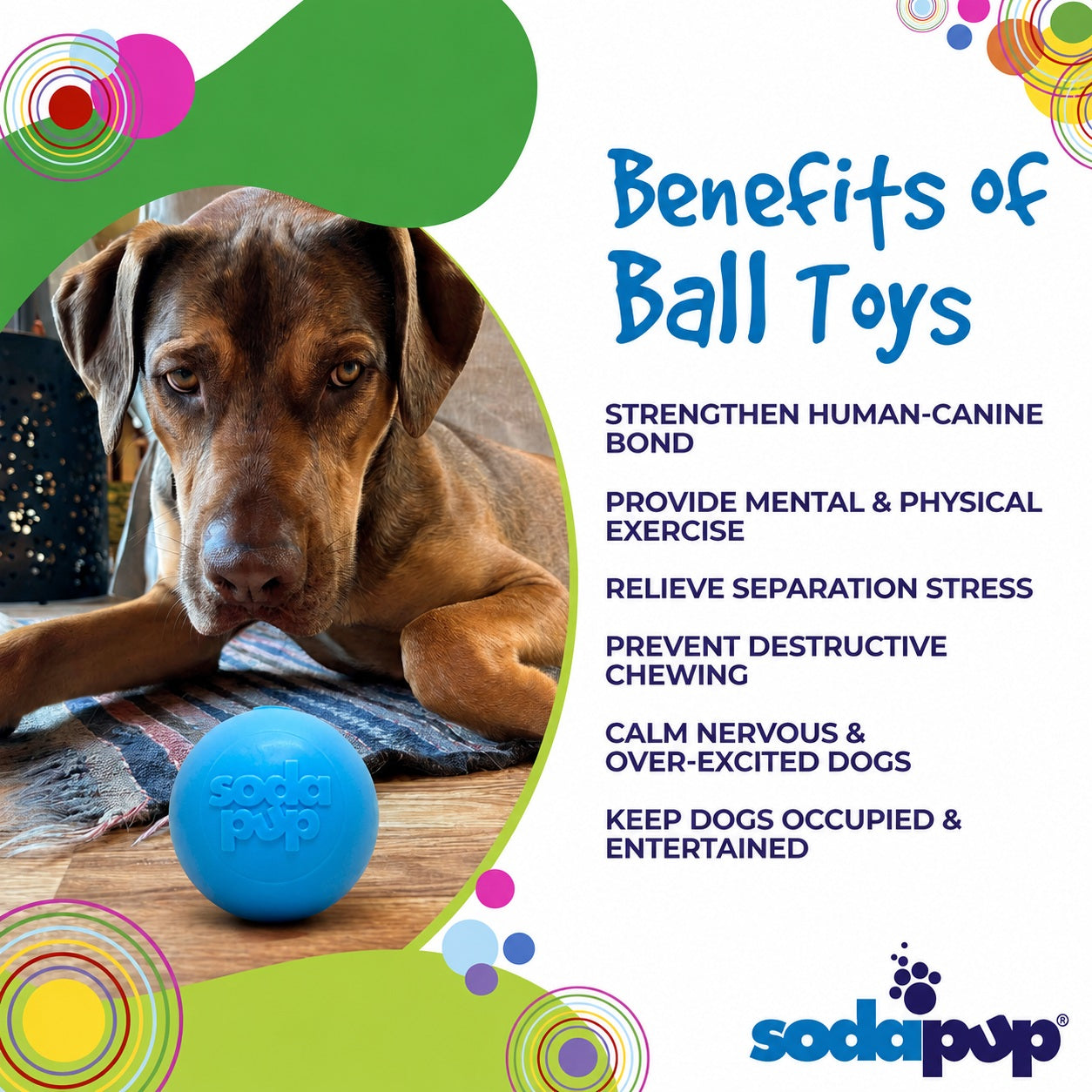 Squeak Ball - Durable Squeaky Dog Toy, Floats, Chew Toy | USA Made