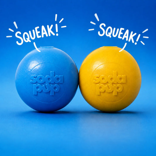 Squeak Ball - Durable Squeaky Dog Toy, Floats, Chew Toy | USA Made