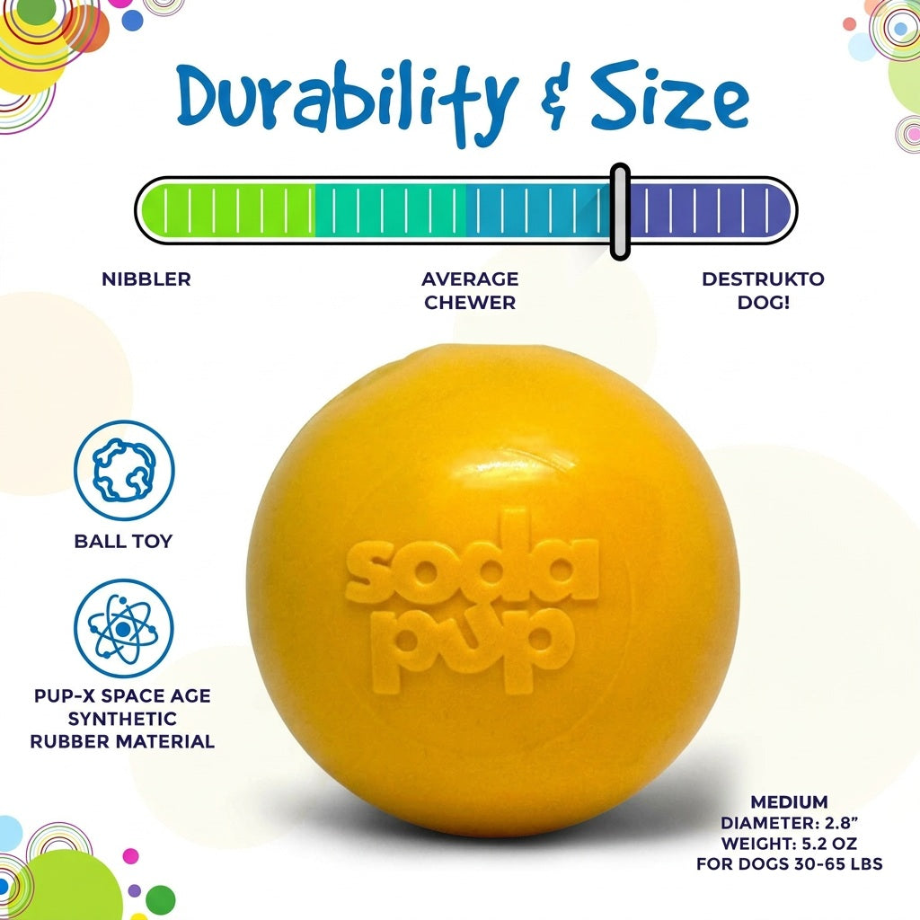 Squeak Ball - Durable Squeaky Dog Toy, Floats, Chew Toy | USA Made