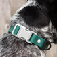 Siberian Spruce Waterproof Dog Collar-1