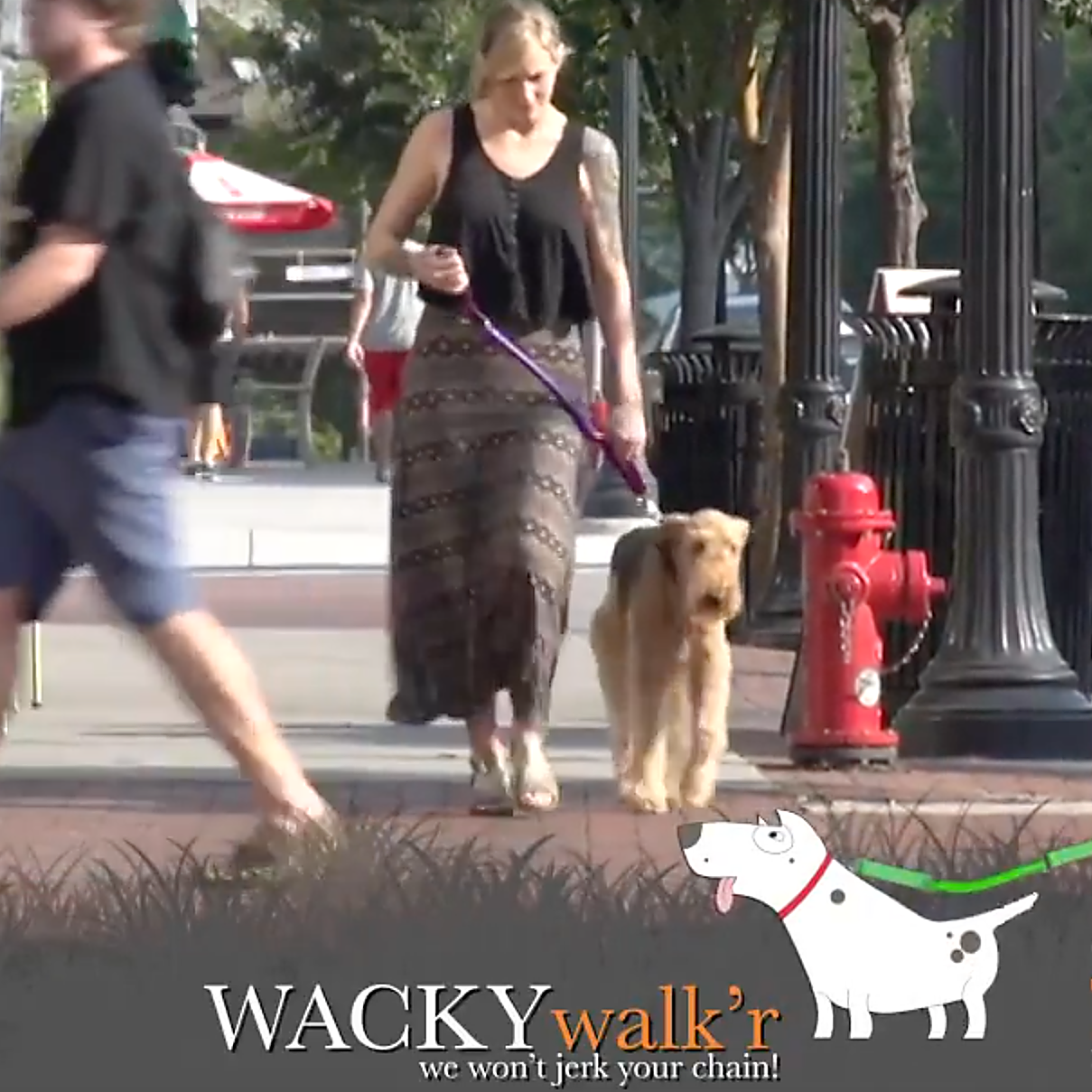 Urban Walk'r - Shorter No Pull Leash