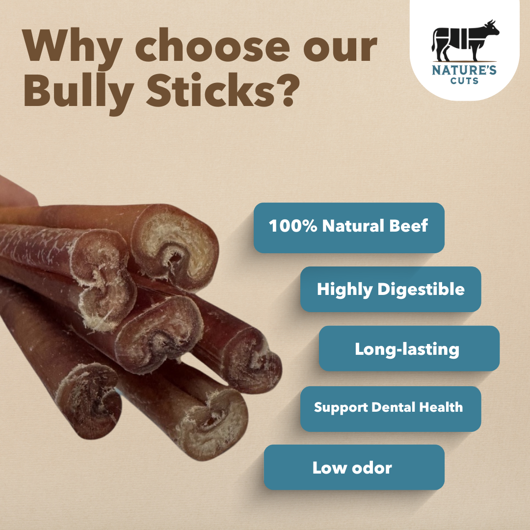 6" Thin Bully Sticks Display Box