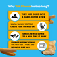 4 Pack XL Yak Cheese - Refill Pack-4