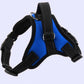 Adjustable Dog Chest Harness With Optional Accessories-5