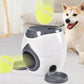 Automatic Pet Training And Feeding System-0