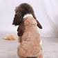 Autumn And Winter Dog Pet Costume Collection: Cozy Coral Fleece Cartoon Style-2