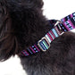 Cozy Stripe Pet Walking Leash-3