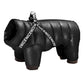 Cozy Winter Pet Apparel: Stylish Clothes For Your Furry Friend-5
