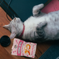Single Ingredient, High Value Freeze-Dried Training Treats for Dogs & Cats - Shrimp-4