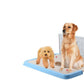 Dog Toilet Puppy Dog Supplies Teddy Dog Urinal Potty Golden Hair Puppies-3