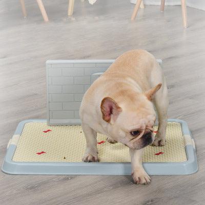 Puppy Food